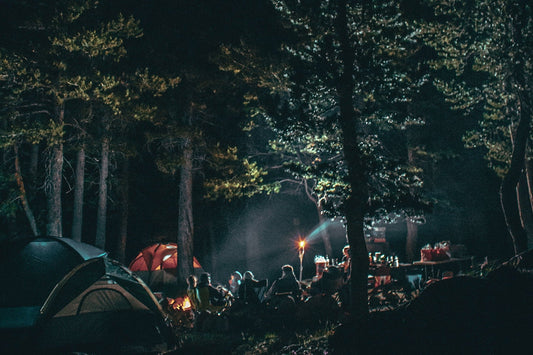 Tents and a lit camp table glowing under pine trees after dark